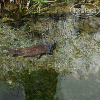 фото из отзыва ID 1664269