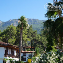 фото из отзыва ID 1664269