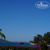 фото из отзыва ID 1664269