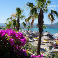 фото из отзыва ID 1664269