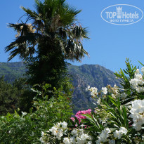 фото из отзыва ID 1664269