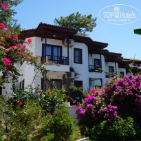 фото из отзыва ID 1664269