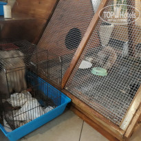 фото из отзыва ID 1664340