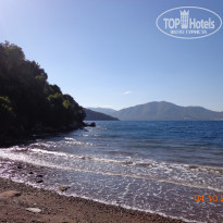 фото из отзыва ID 1664370