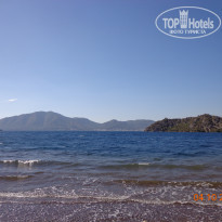 фото из отзыва ID 1664370