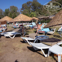 фото из отзыва ID 1664370