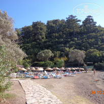 фото из отзыва ID 1664370