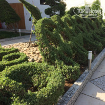 фото из отзыва ID 1664439