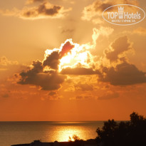 фото из отзыва ID 1664532