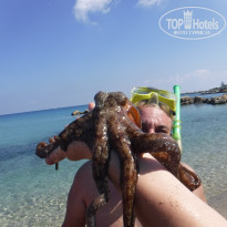 фото из отзыва ID 1664532