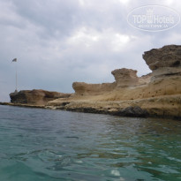 фото из отзыва ID 1664532