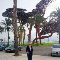 фото из отзыва ID 1664631