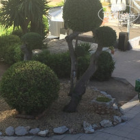 фото из отзыва ID 1665075