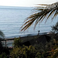 фото из отзыва ID 1665108