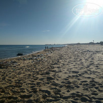 фото из отзыва ID 1665330