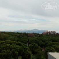 фото из отзыва ID 1665373