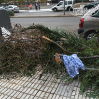 фото из отзыва ID 1665387