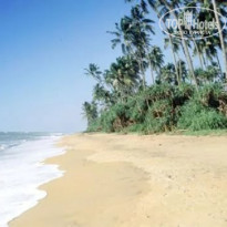 фото из отзыва ID 1665501