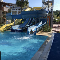 фото из отзыва ID 1665554