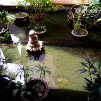 фото из отзыва ID 1665617