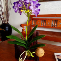 фото из отзыва ID 1665617