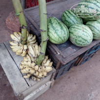 фото из отзыва ID 1665715