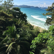 фото из отзыва ID 1665826