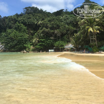 фото из отзыва ID 1665826