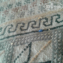 фото из отзыва ID 1665882