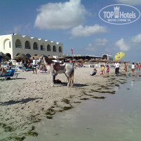 фото из отзыва ID 1666009