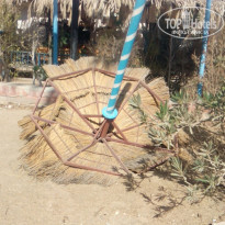 фото из отзыва ID 1666025