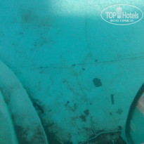 фото из отзыва ID 1666025