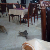 фото из отзыва ID 1666025