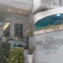 фото из отзыва ID 1666039