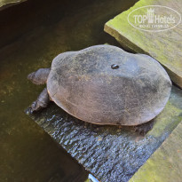 фото из отзыва ID 1666092