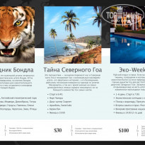 фото из отзыва ID 1666102