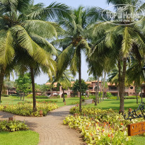 фото из отзыва ID 1666124