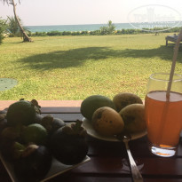 фото из отзыва ID 1666142