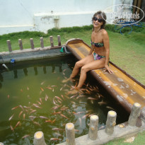 фото из отзыва ID 1666143