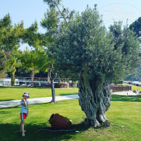 фото из отзыва ID 1665710