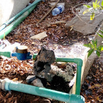 фото из отзыва ID 1666386