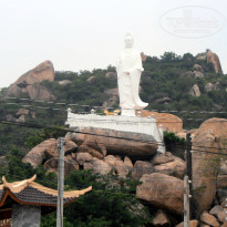 фото из отзыва ID 1666387