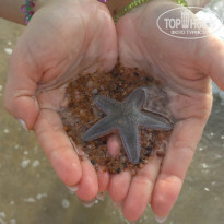 фото из отзыва ID 1666174