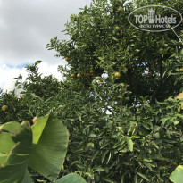 фото из отзыва ID 1666443