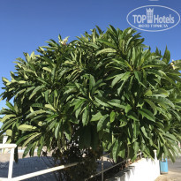 фото из отзыва ID 1666443