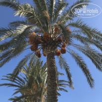 фото из отзыва ID 1666443