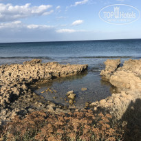 фото из отзыва ID 1666443