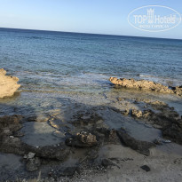 фото из отзыва ID 1666443