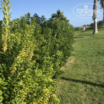 фото из отзыва ID 1666443