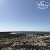 фото из отзыва ID 1666443